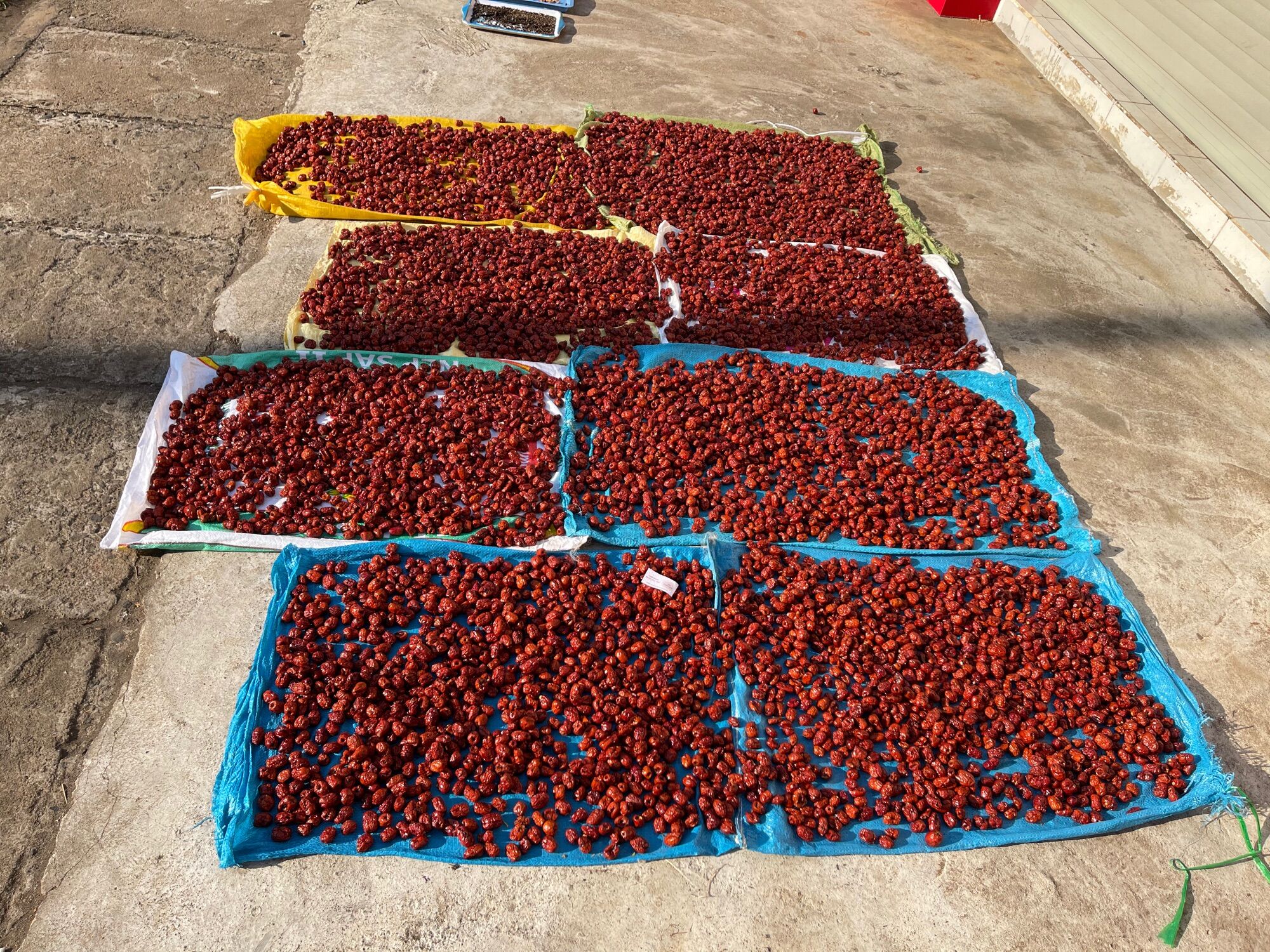 500gr táo đỏ tách hạt