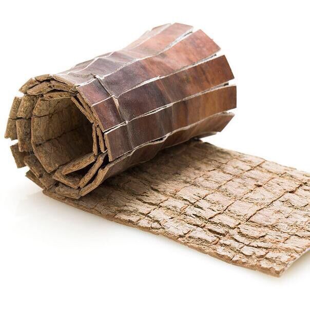 ( 100gr ) Đỗ Trọng khô - Bổ Thận , Mạnh Gân Cốt