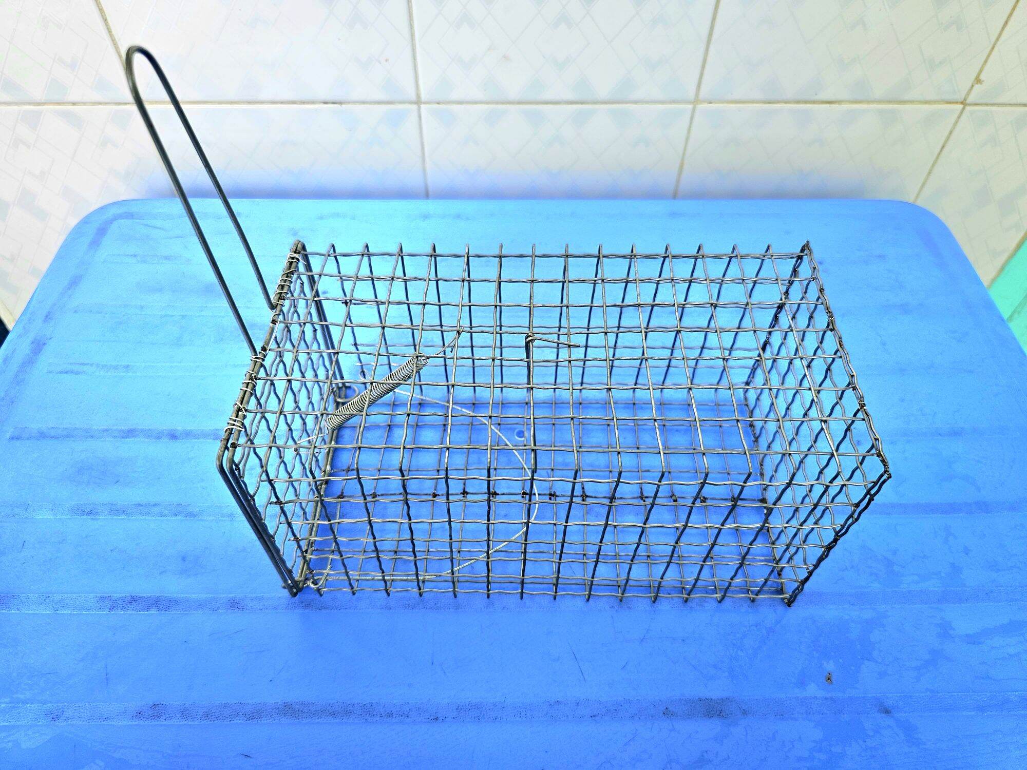 Lồng bẫy chuột siêu nhạy có phen combo 2 cái