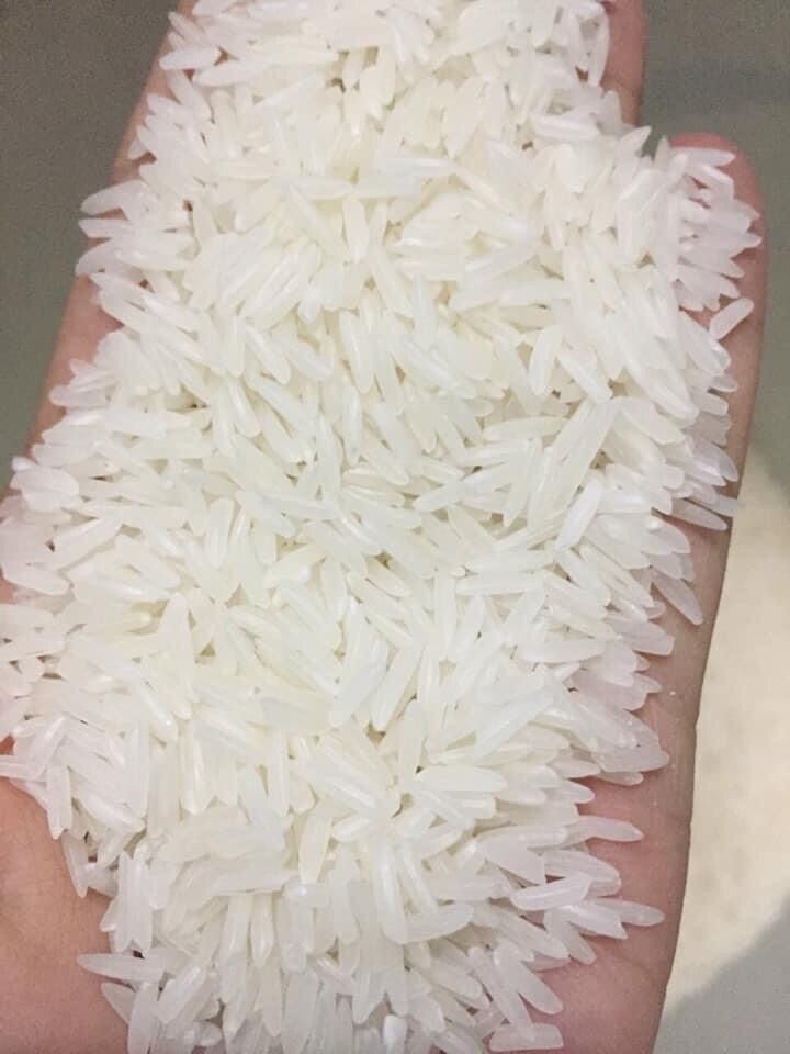 GẠO ST25 TÚI 5kg CHÍNH HÃNG