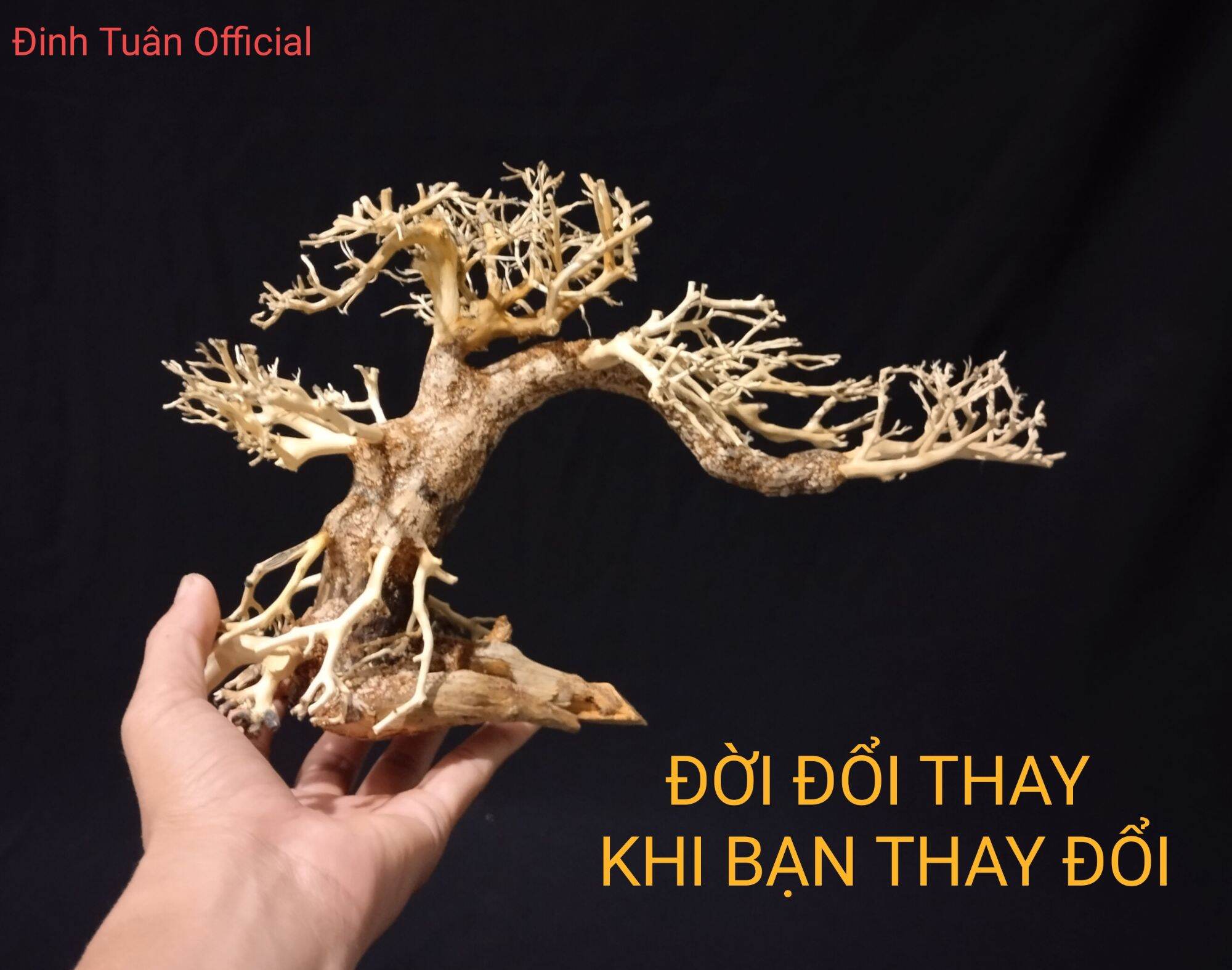 Lũa Bonsai thủy sinh mini dáng đổ cho hồ 30, 40 cm