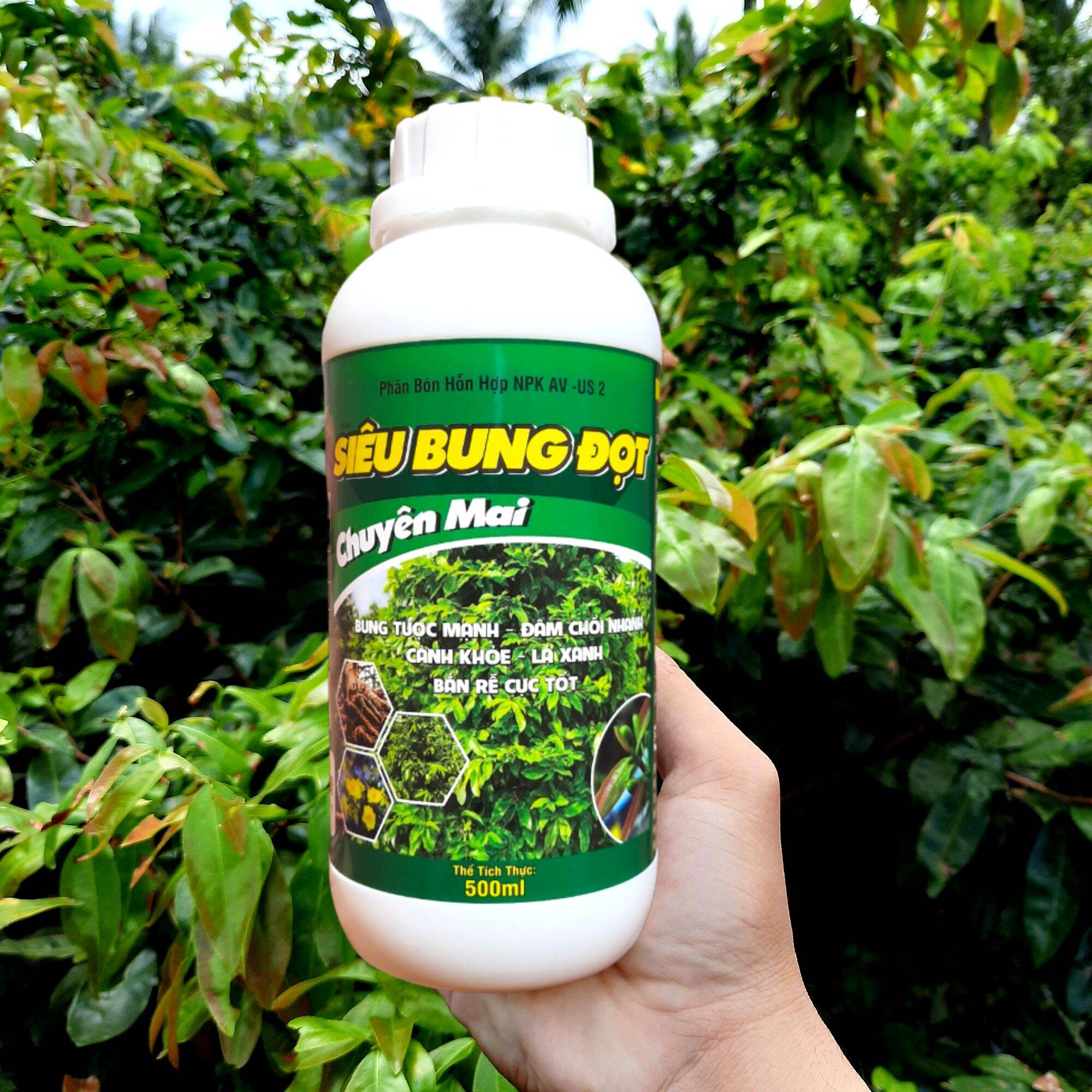 Phân bón Siêu bung đọt chuyên Mai Vàng (chai 500ml) công thức mới giúp kích đọt, ra lá, phục hồi mai suy, chậm phát triển