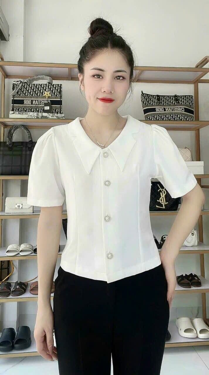 áo kiểu Nữ Công Sở đẹp
