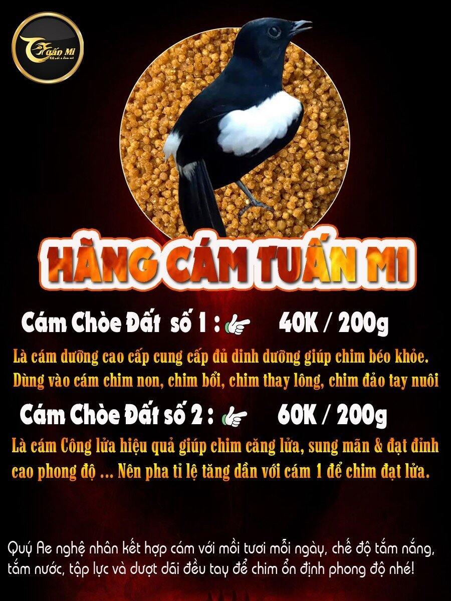 Cám Choè Đất số 1 ( Tuấn Mi )