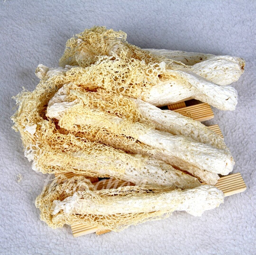 Nấm Trúc Sanh (Trúc Sáng / Nấm Tâm Trúc)