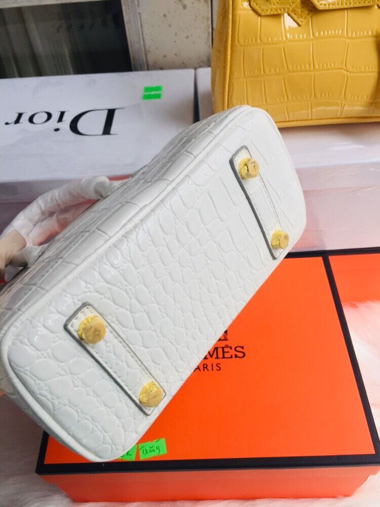 HM Birkin da rắn bóng size 20 (ko hộp)