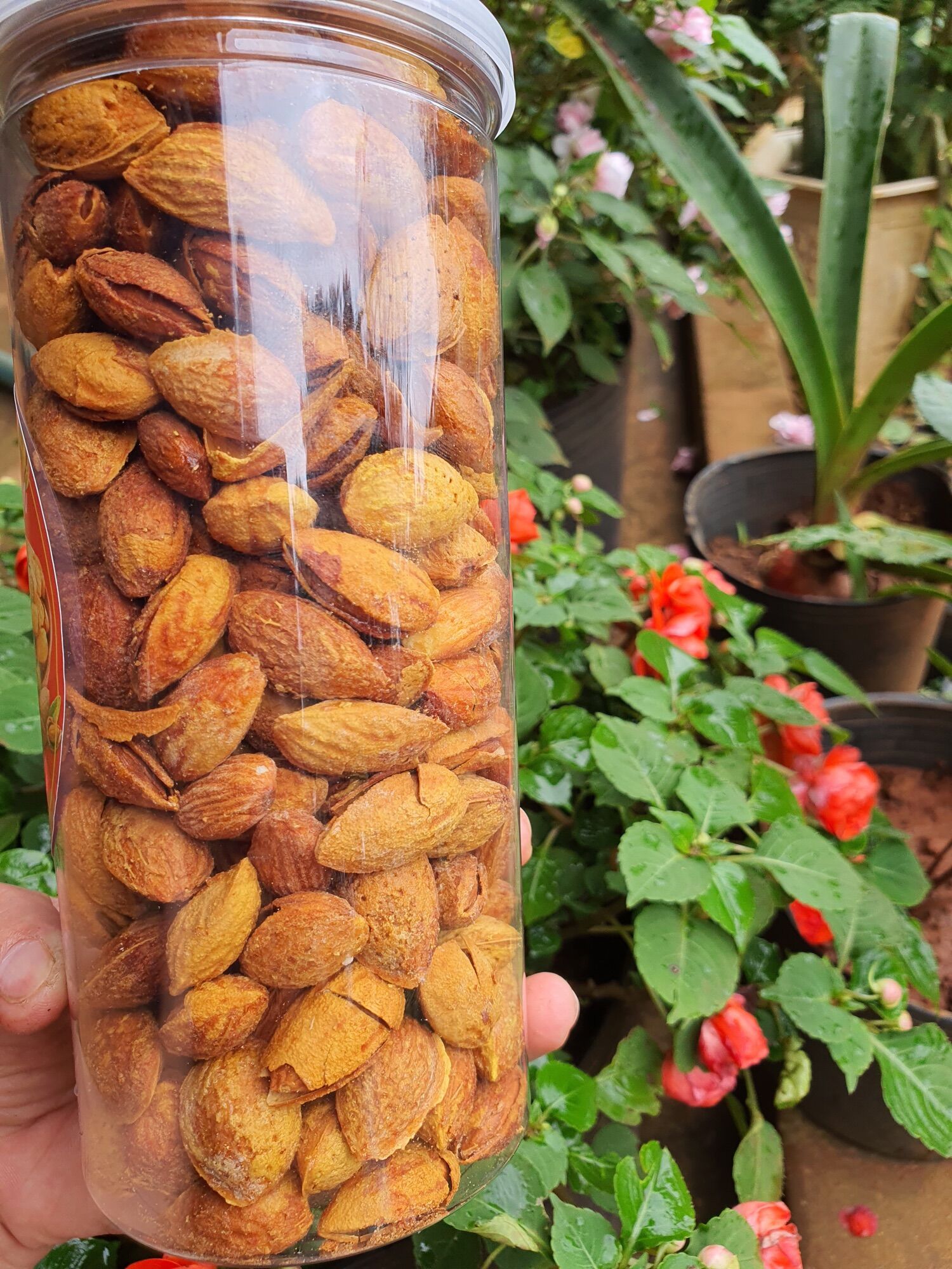 [ Loại 1]  Hạnh nhân rang bơ nhập khẩu Mỹ. Vỏ cực mỏng 500gr