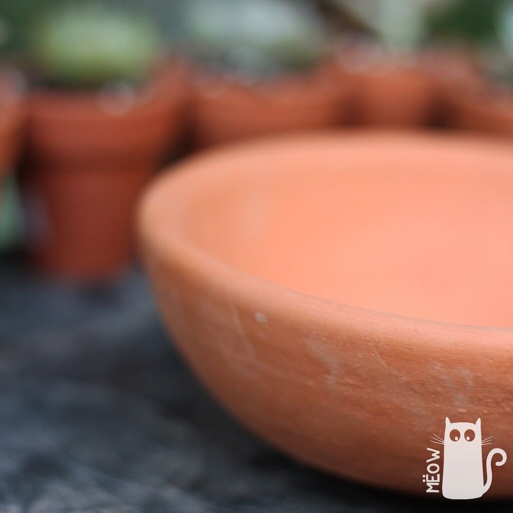 COMBO 5 chậu đất nung Chảo lớn 17x6cm
