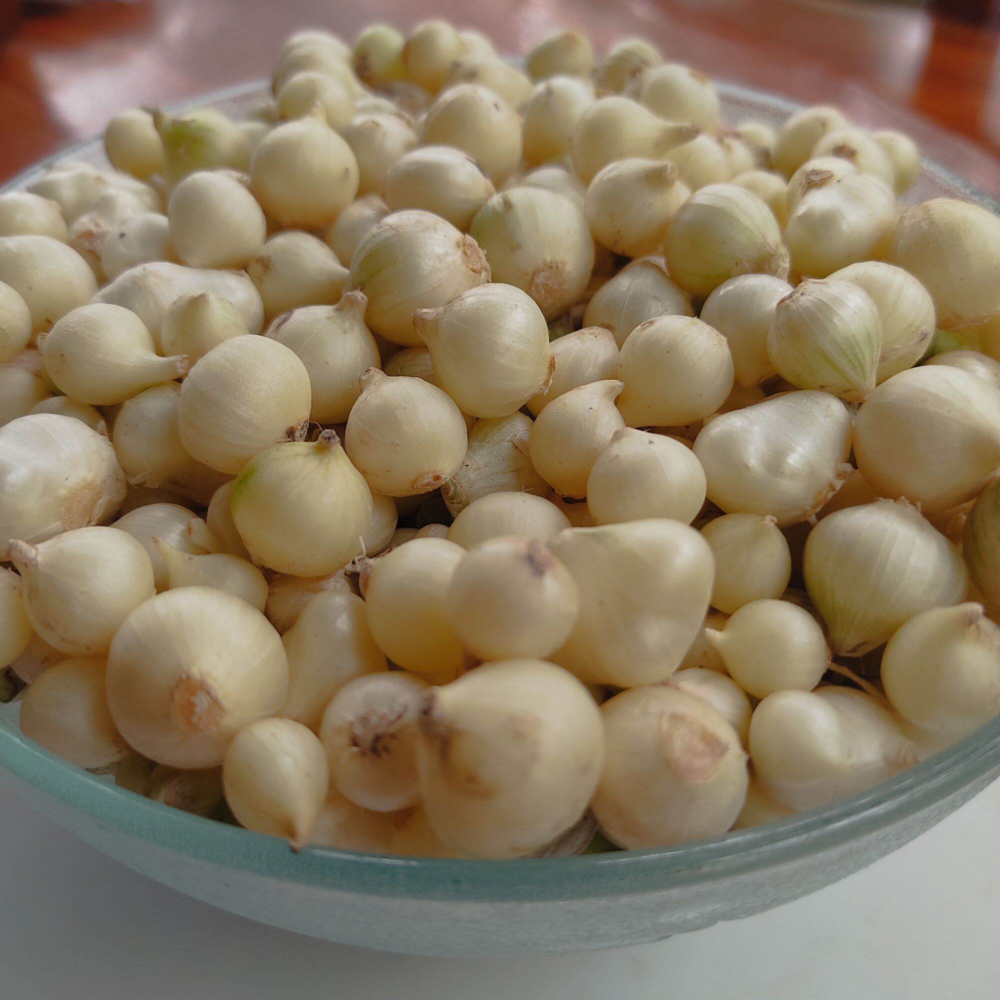 Hanh tăm ( củ nén) quê nghệ an 0.5kg