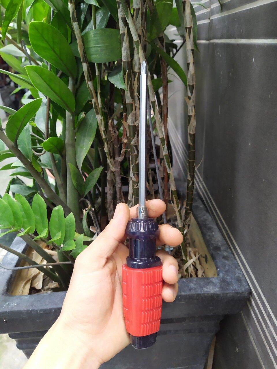 Tô vít 2 đầu 6mm