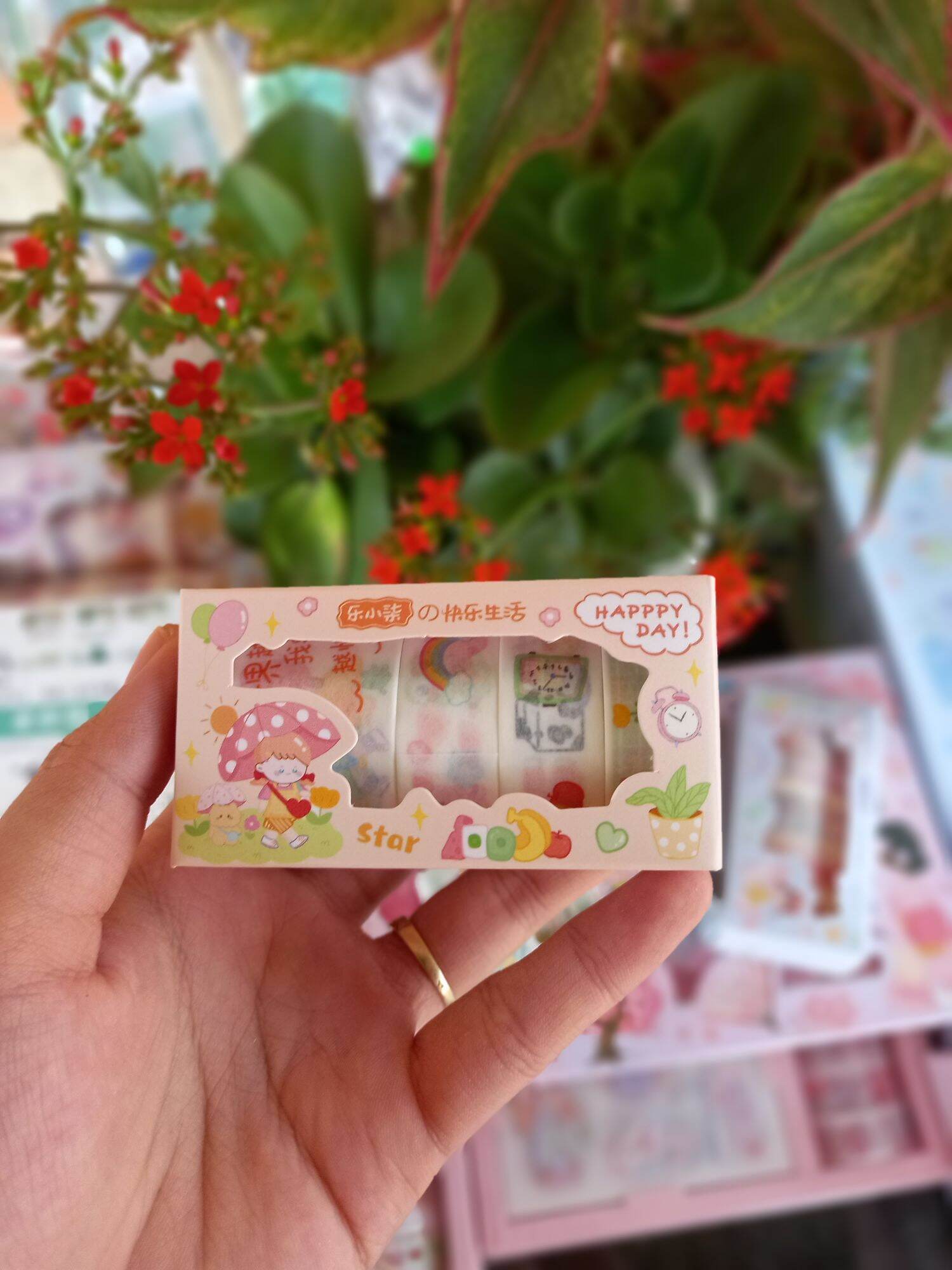 Washi cuộn ( hộp 5 cuộn đủ kích thước )