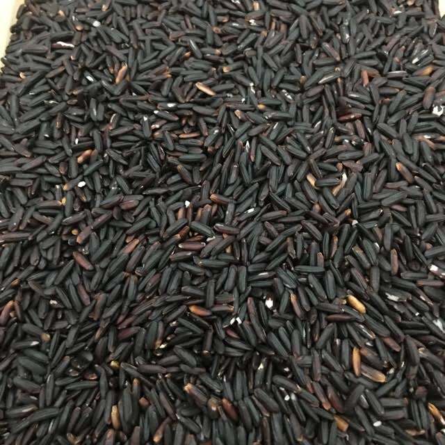 Giống lúa nếp cẩm, tím đen, nếp than túi 1kg