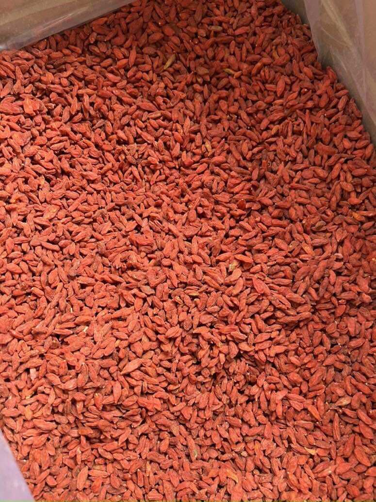 Kỷ Tử Đỏ Ninh Hạ  Khô Túi 100g