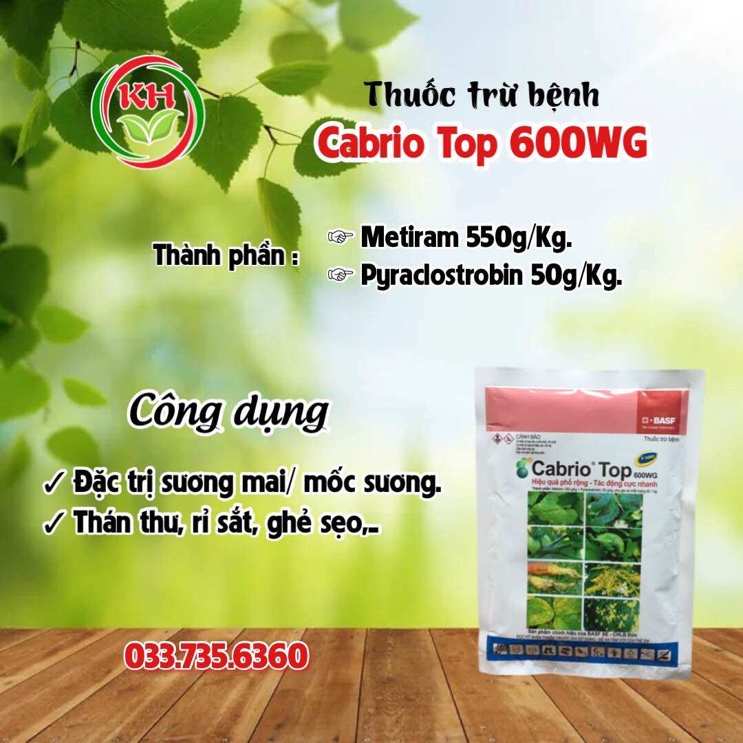 Thuốc trừ bệnh cabrio top 600wg