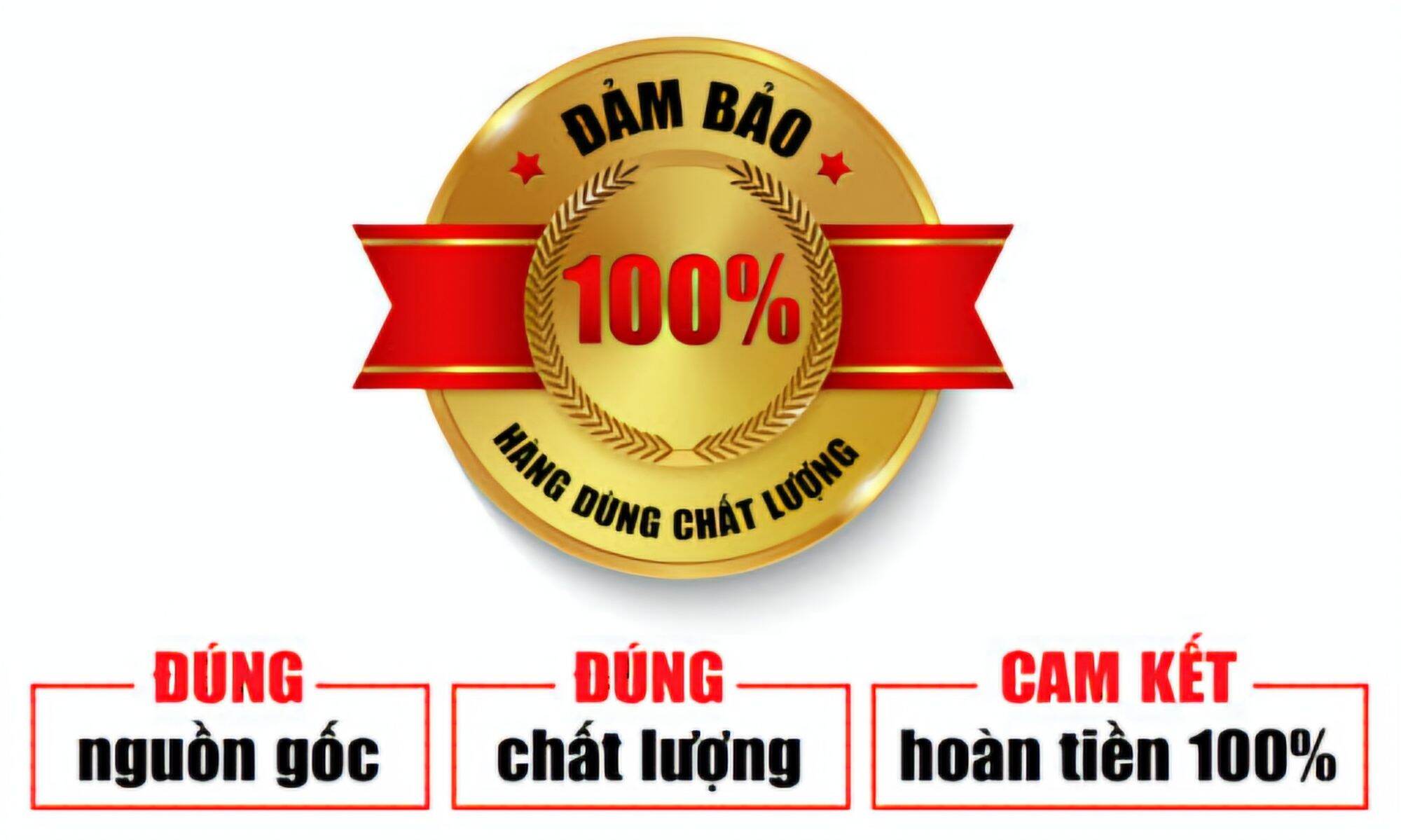 Máy Rót Rượu Tự Động ( Nữ Rót Rượu ) 1.9Lít Rót Thông Minh