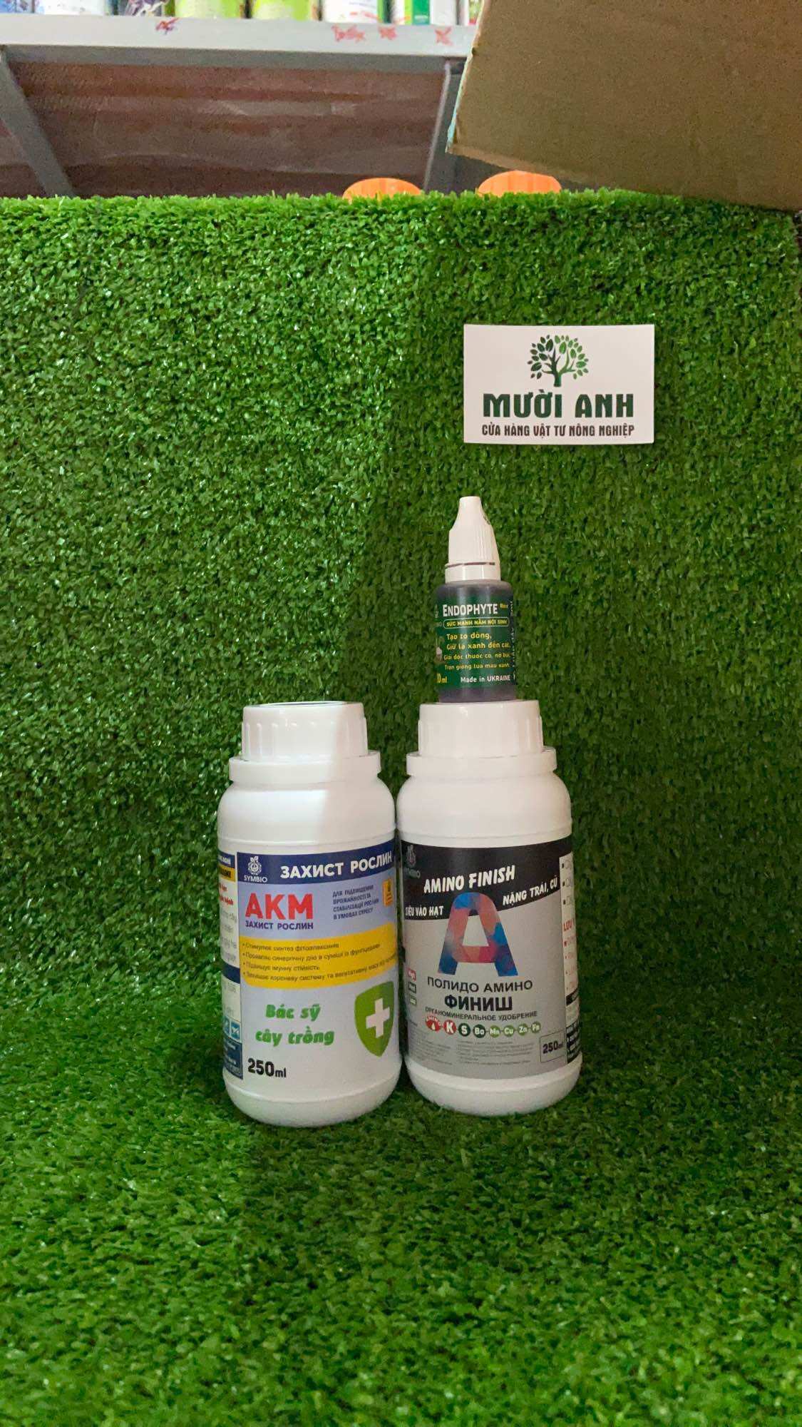 Phân Bón Sinh Học ENDOPHYTE của SYMBIO