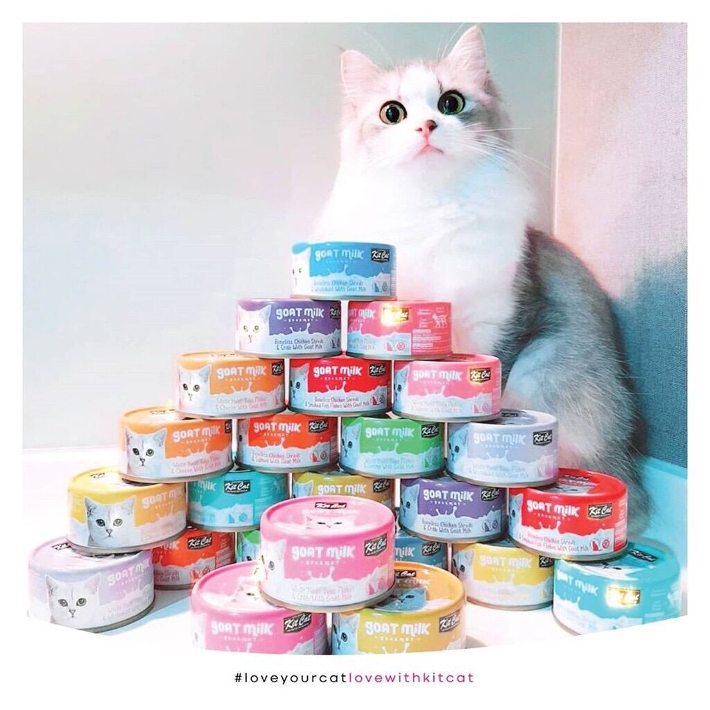 Pate sữa dê Kit Cat cho mèo lon 70g