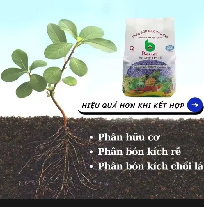 Phân NPK 16-12-8-11 + TE tím