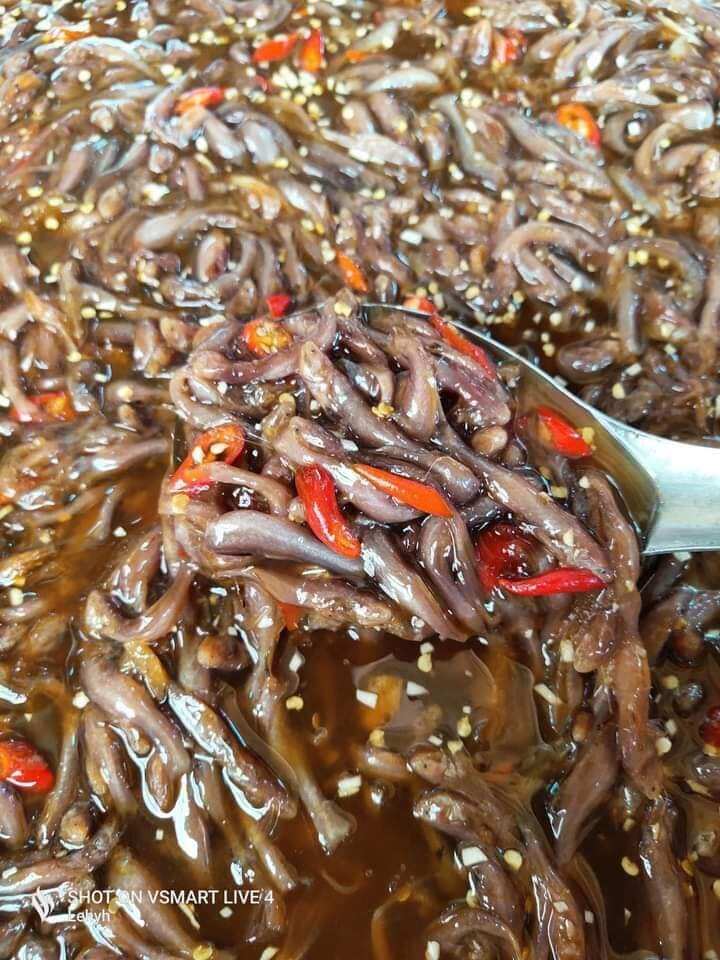 1kg mắm cá trèn