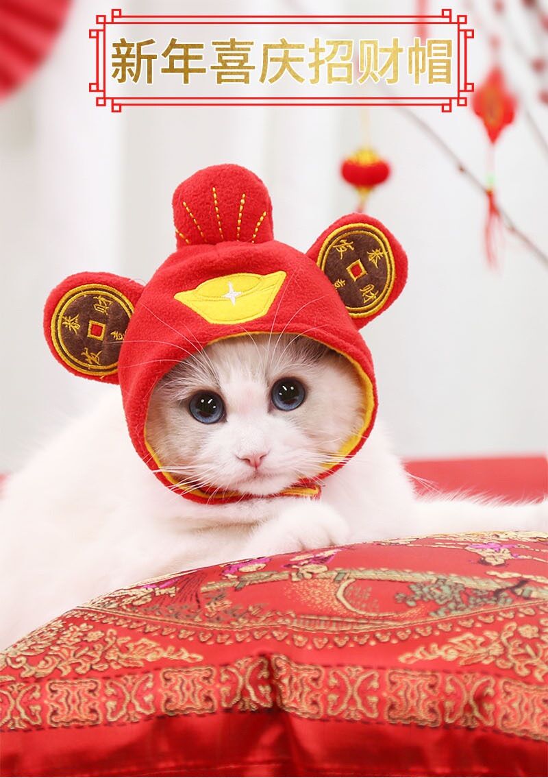 [SIÊU RẺ] Mũ đội siêu yêu cho cún miu