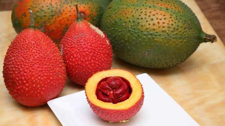 Quả gấc trái gấc 1 quả