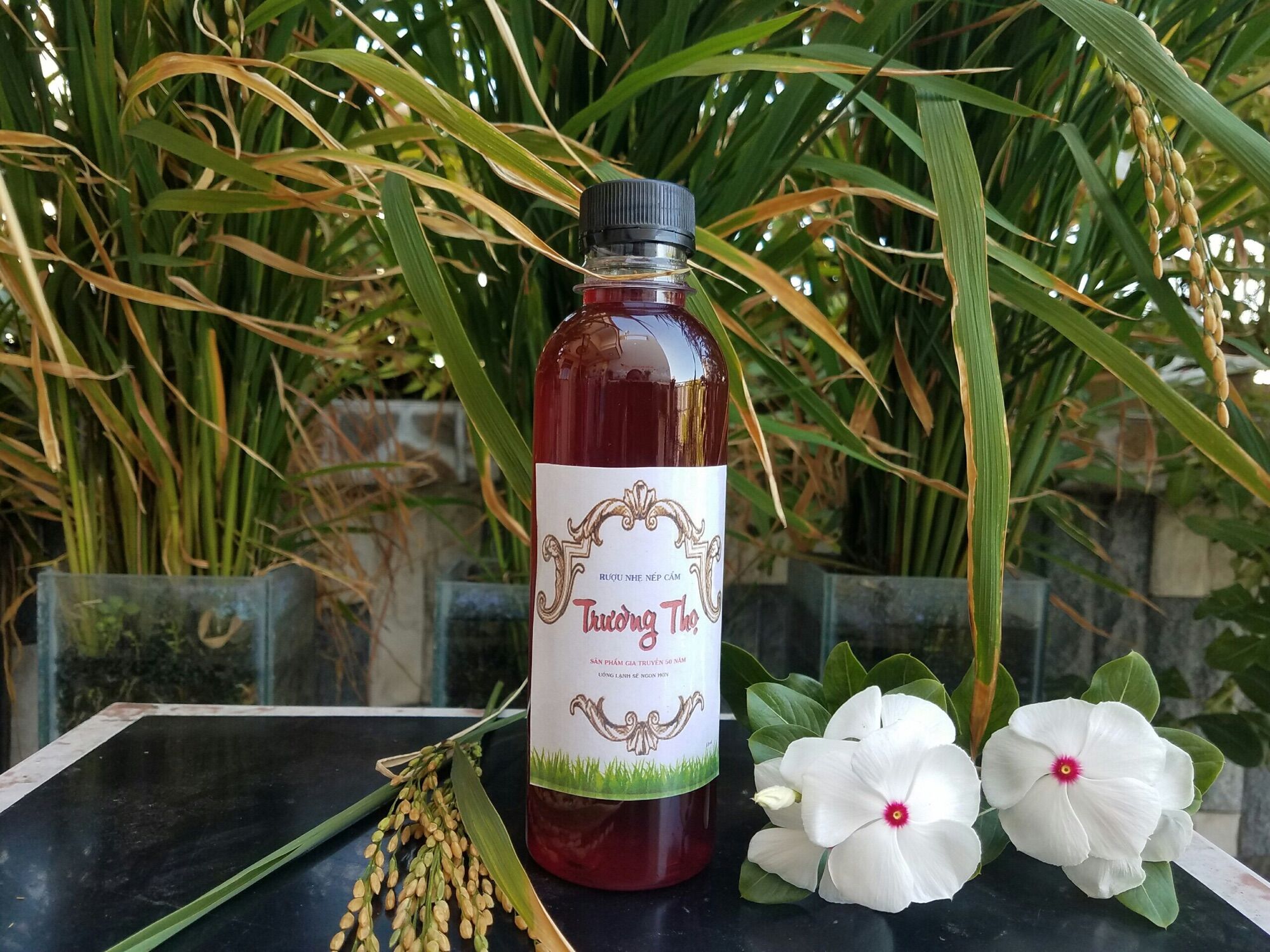 Rựu Nếp Cẩm Trường Thọ ( 330 mL ) 🍷🍷