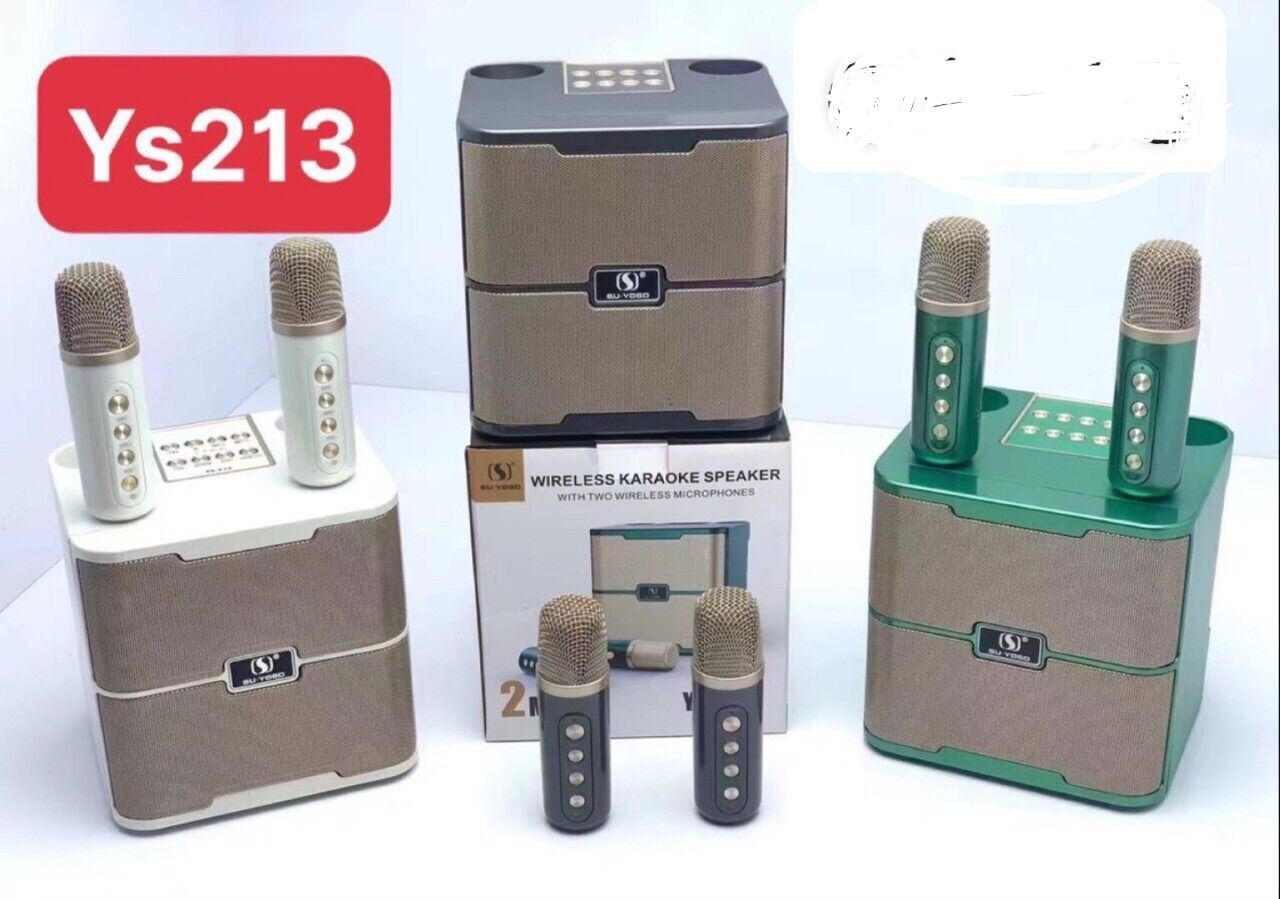 loa karaoke YS 213