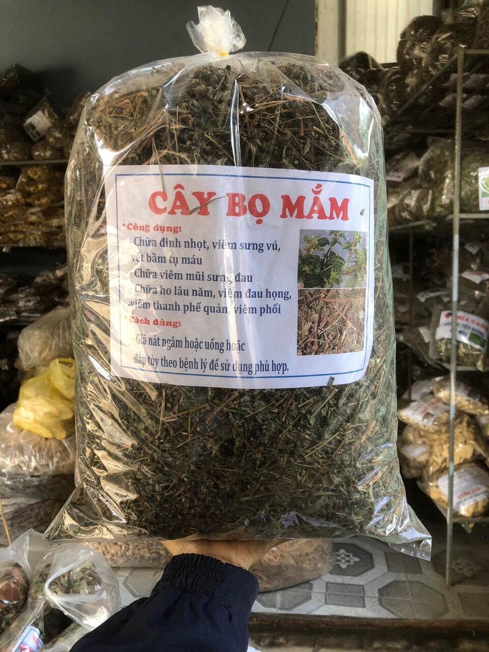 Cây bọ mắm khô thân tím 1kg