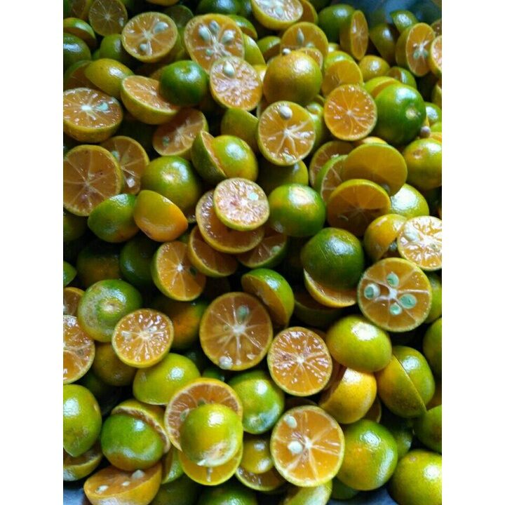Tắt xí muội hủ 1 kg