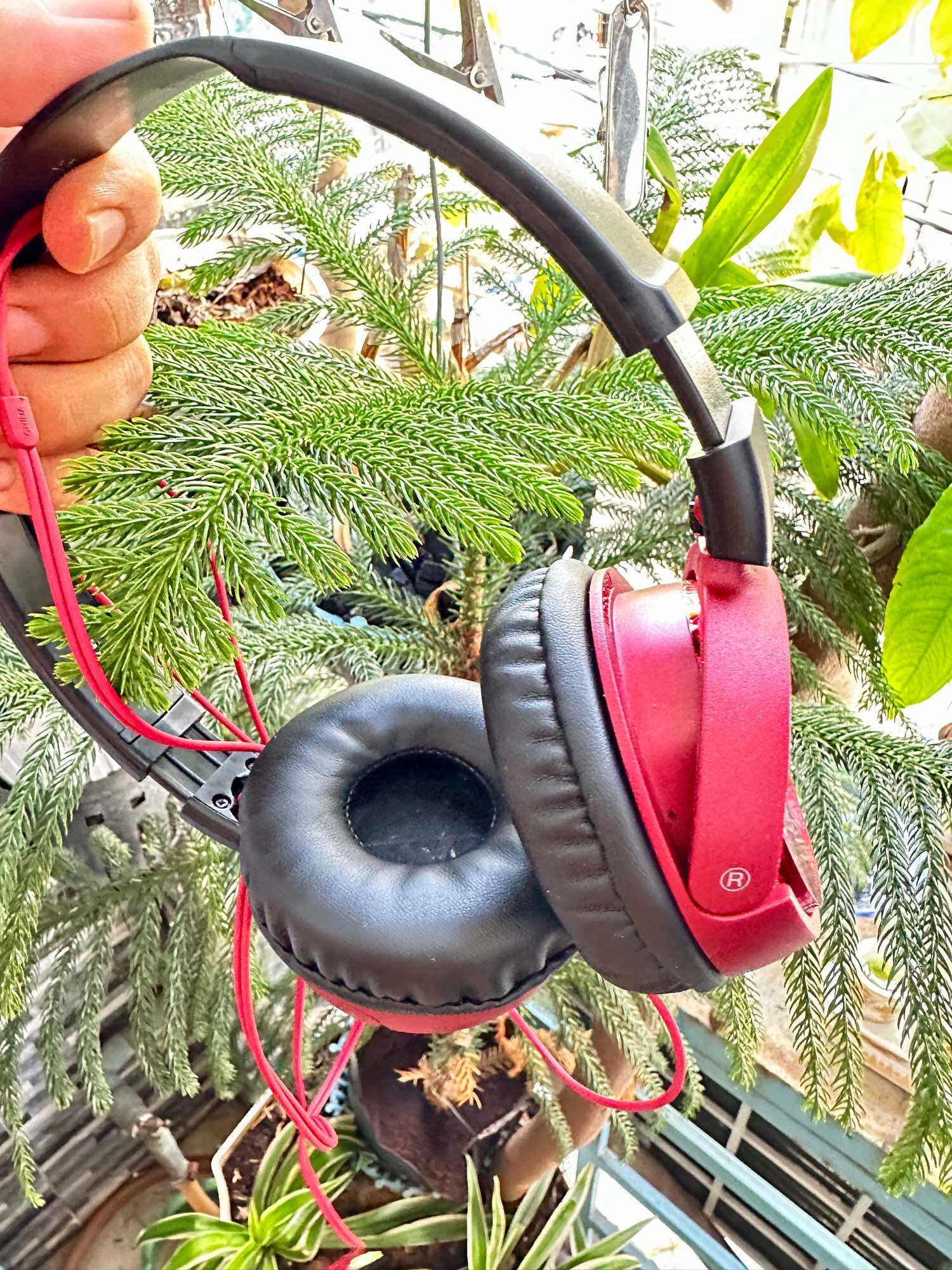 Tai nghe sony hàng si nhật