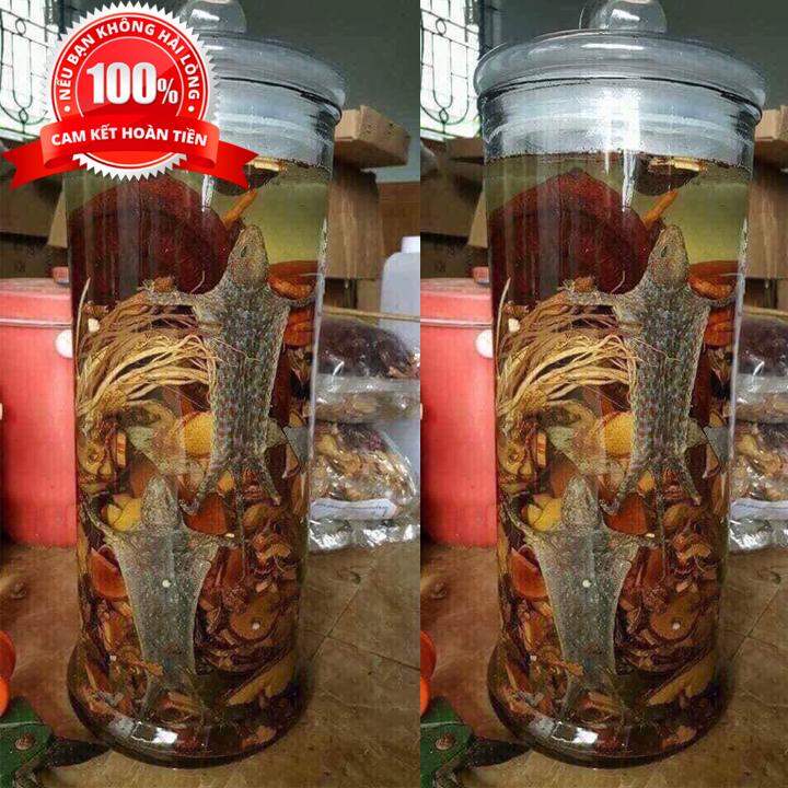 Minh Mạng Thang 33 vị bổ thận tráng dương.