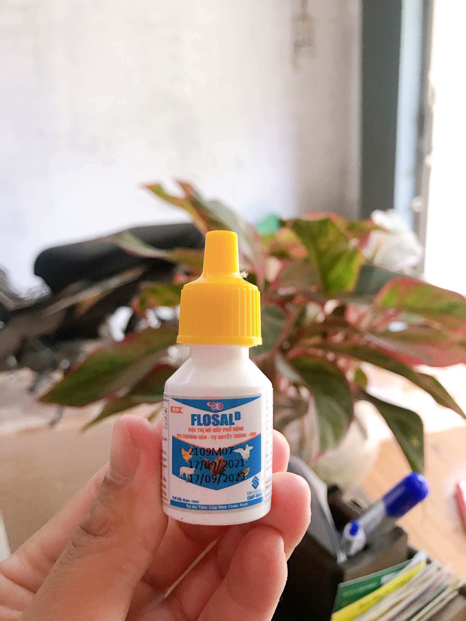 Flosal d 10ml hen, khẹc gà vịt