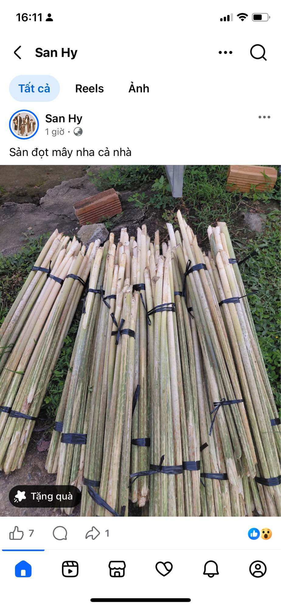 Đọt mây đắng đặc sản Tây nguyên bó 9-10 cây