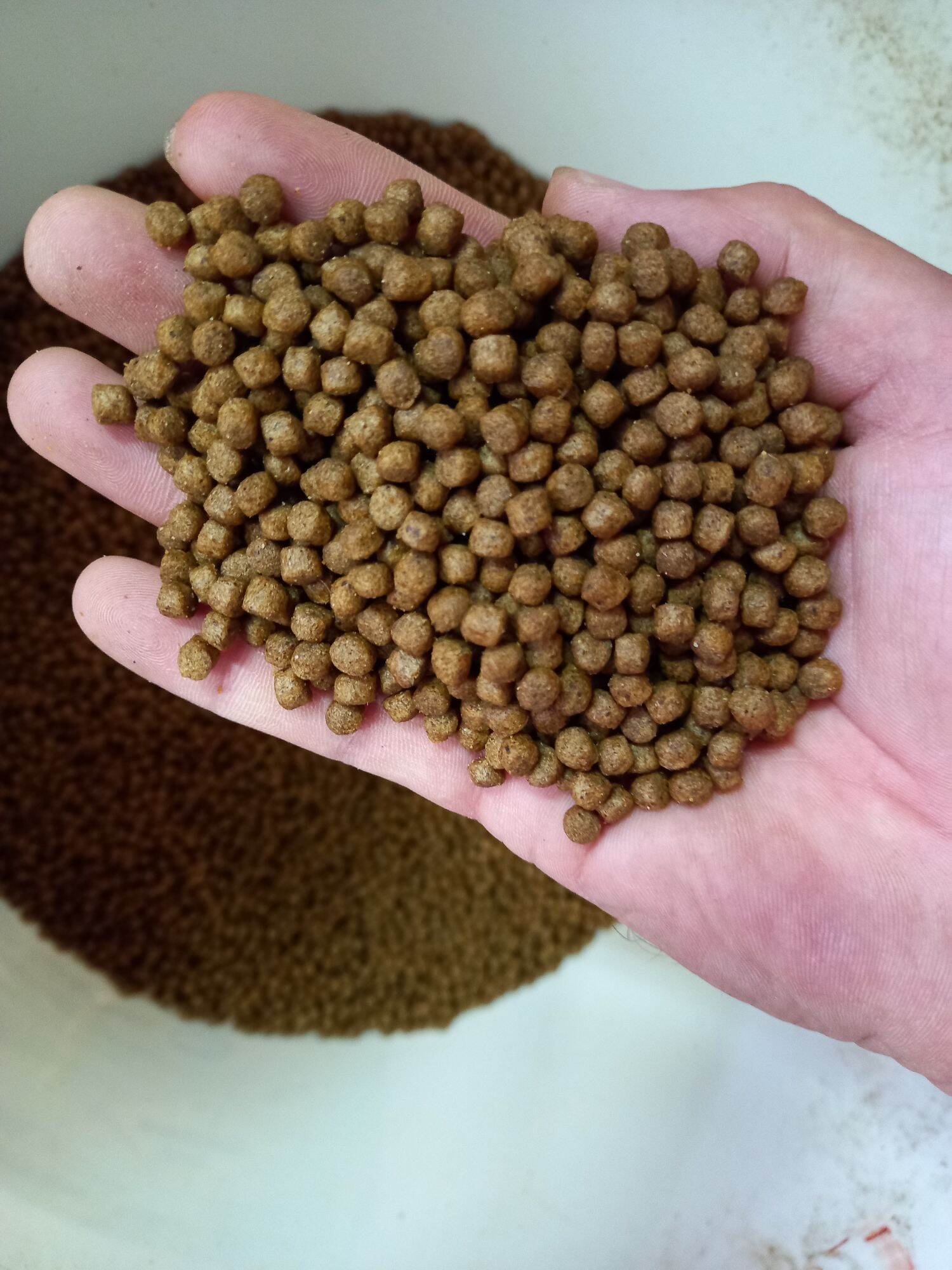 THỨC ĂN CÁ KOI, CÁ 3 ĐUÔI, CÁ CẢNH CÁC LOẠI ( 4LY 30% Đạm) 500 gam / Bịt