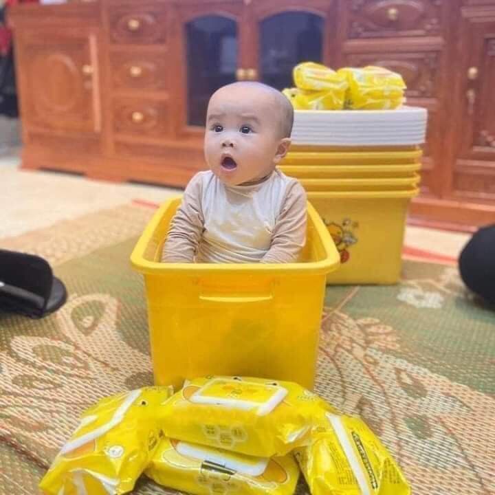 Thùng giấy ướt vịt vàng(thùng gồm 10 bịch)