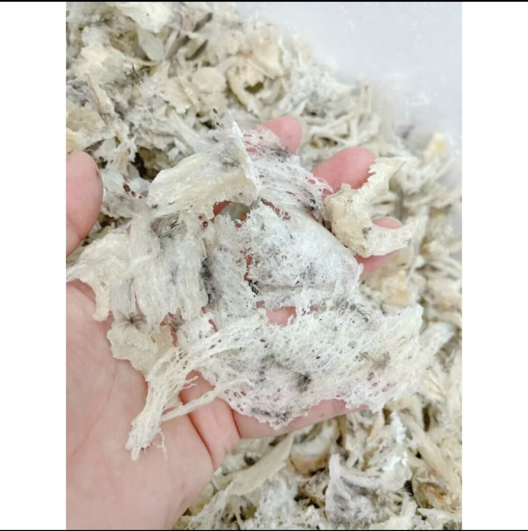  HỘP 50_100Gram YẾN VỤN THÔ TỔ BỂ MẢNH TO tặng kèm nhíp lặt lông  khi mua từ 20g trở lên  và gia vị chưng yến 