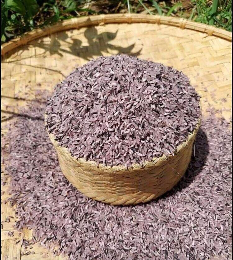 GẠO NƯƠNG TÍM TÂY BẮC 1KG