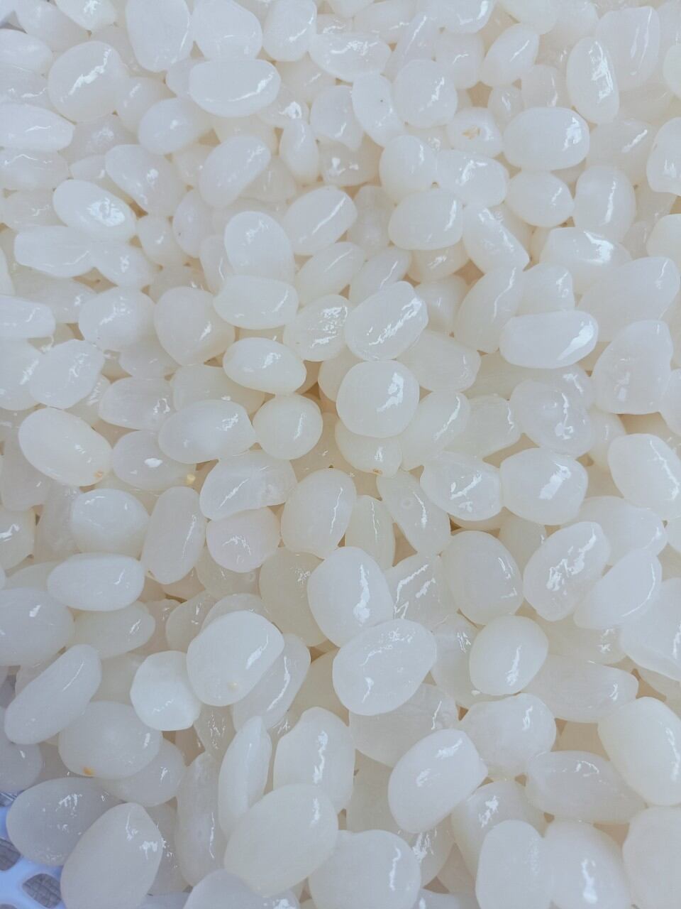 Hạt đác tươi dẻo ngon, size nhỏ 1kg