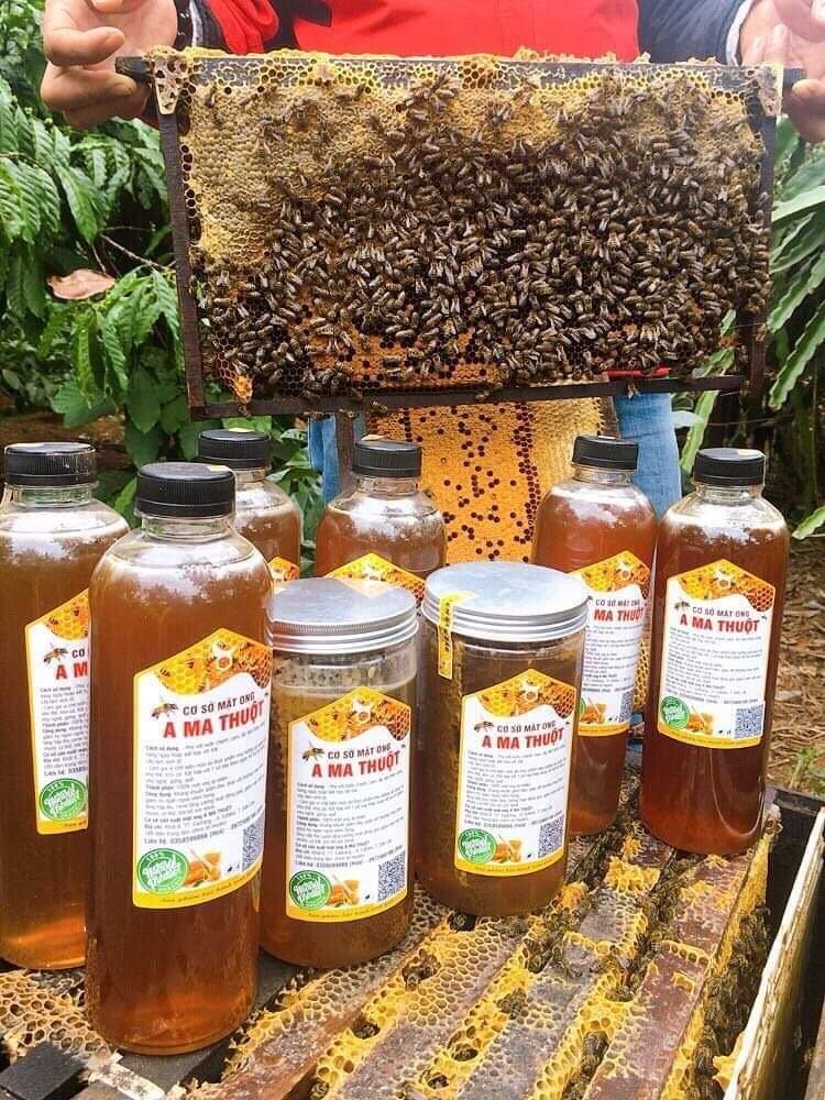 Mật ong nguyên chất hoa cafe, 1 chai 1000ml (đền tiiền gấp 10 lần nếu phát hiện mật giả)
