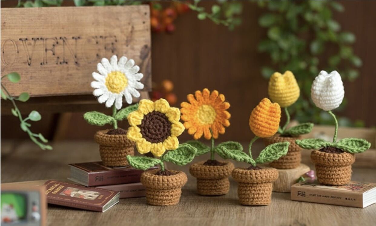 Chậu hoa mini handmade