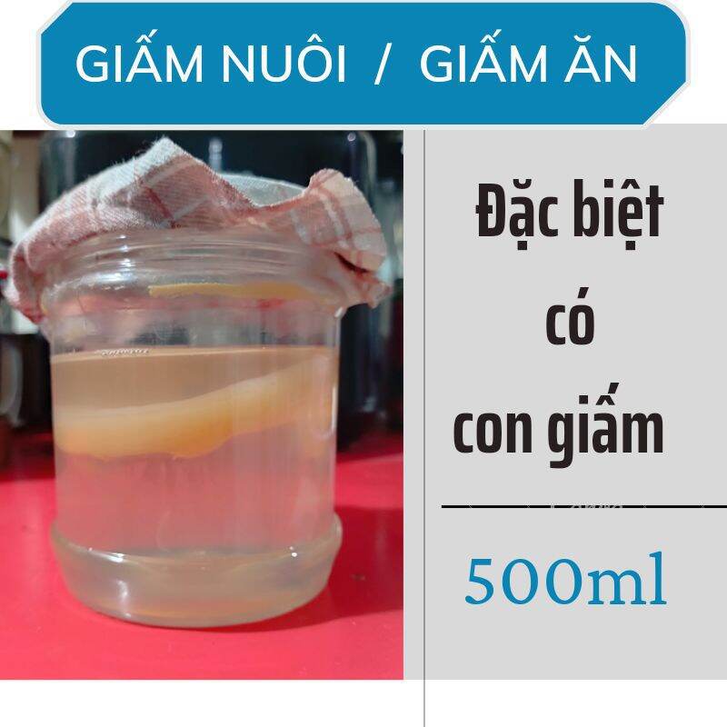 Con Giấm nuôi, giấm ăn