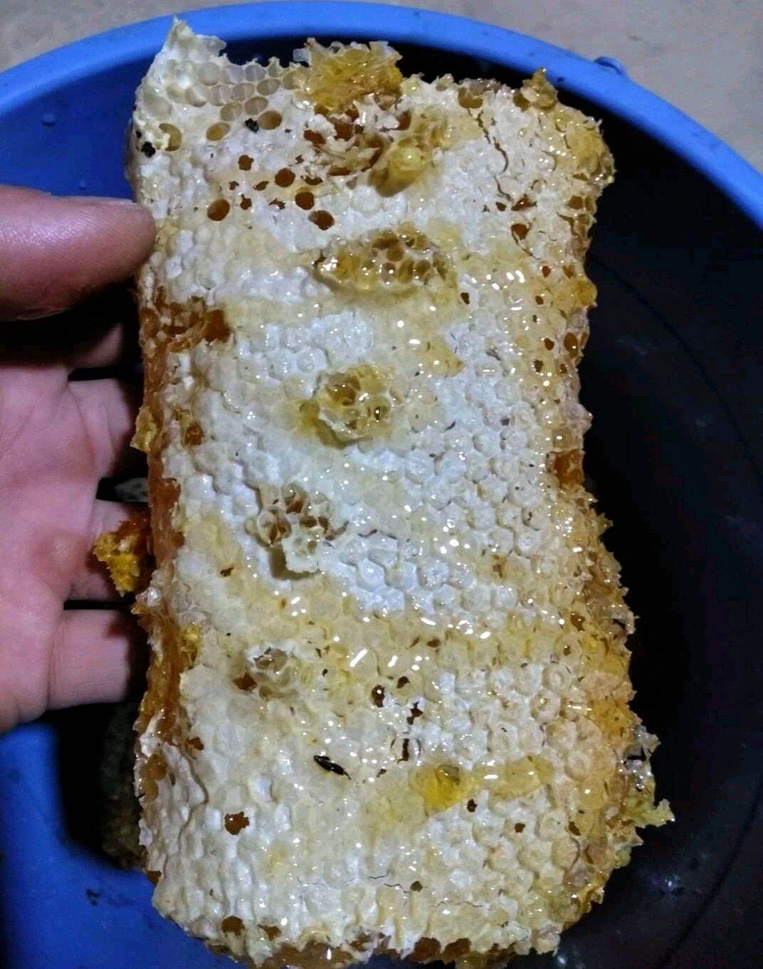 Sáp nguyên mật ong đá núi rừng 1kg