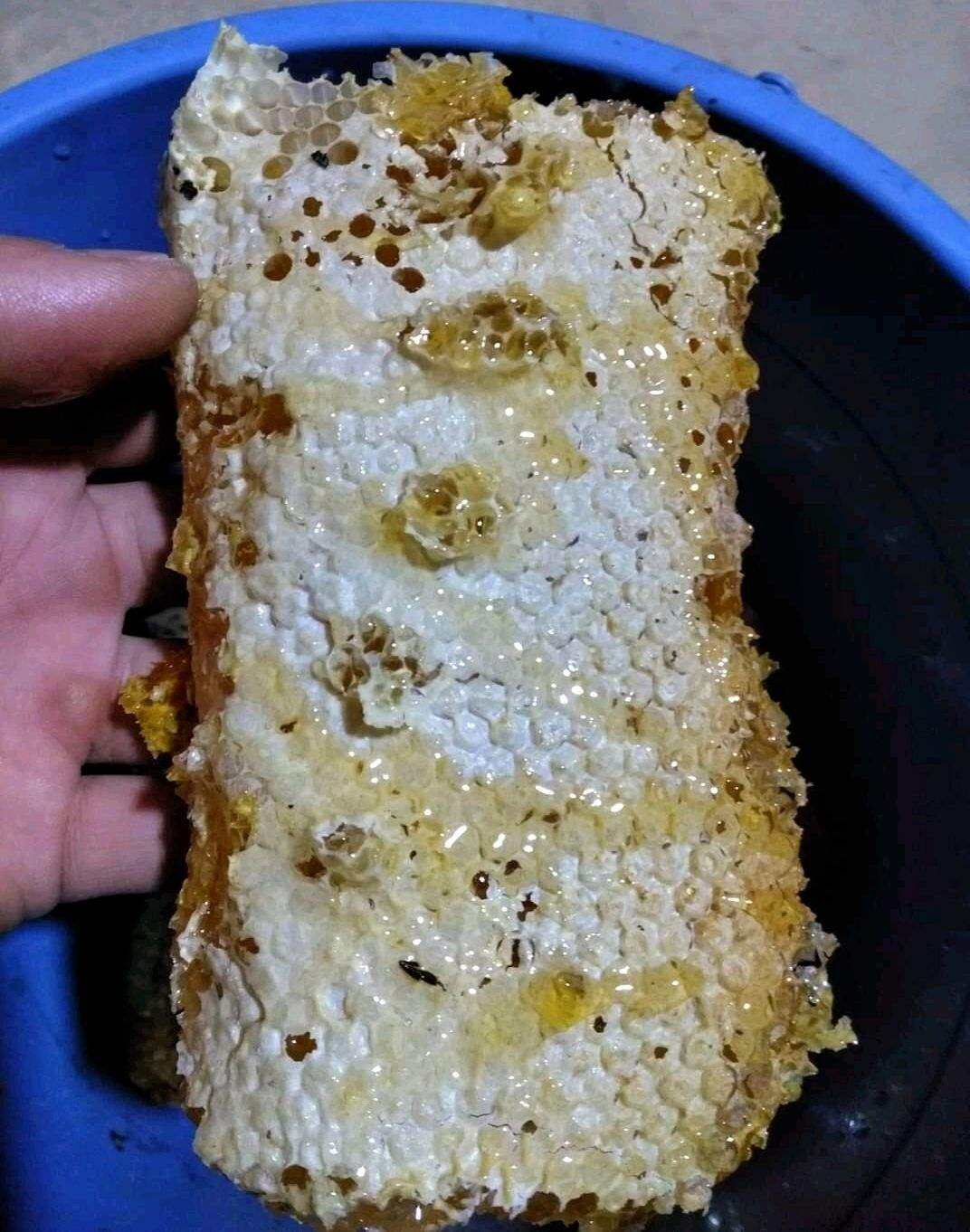 Sáp Nguyên Mật Ong Đá Núi Rừng 1Kg