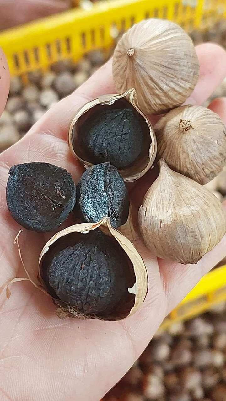 500g tỏi đen