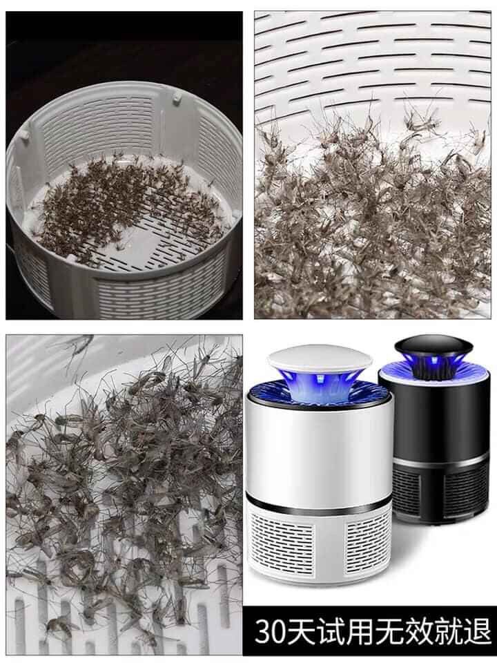 Máy bắt muỗi thông minh công nghệ Nhật Bản