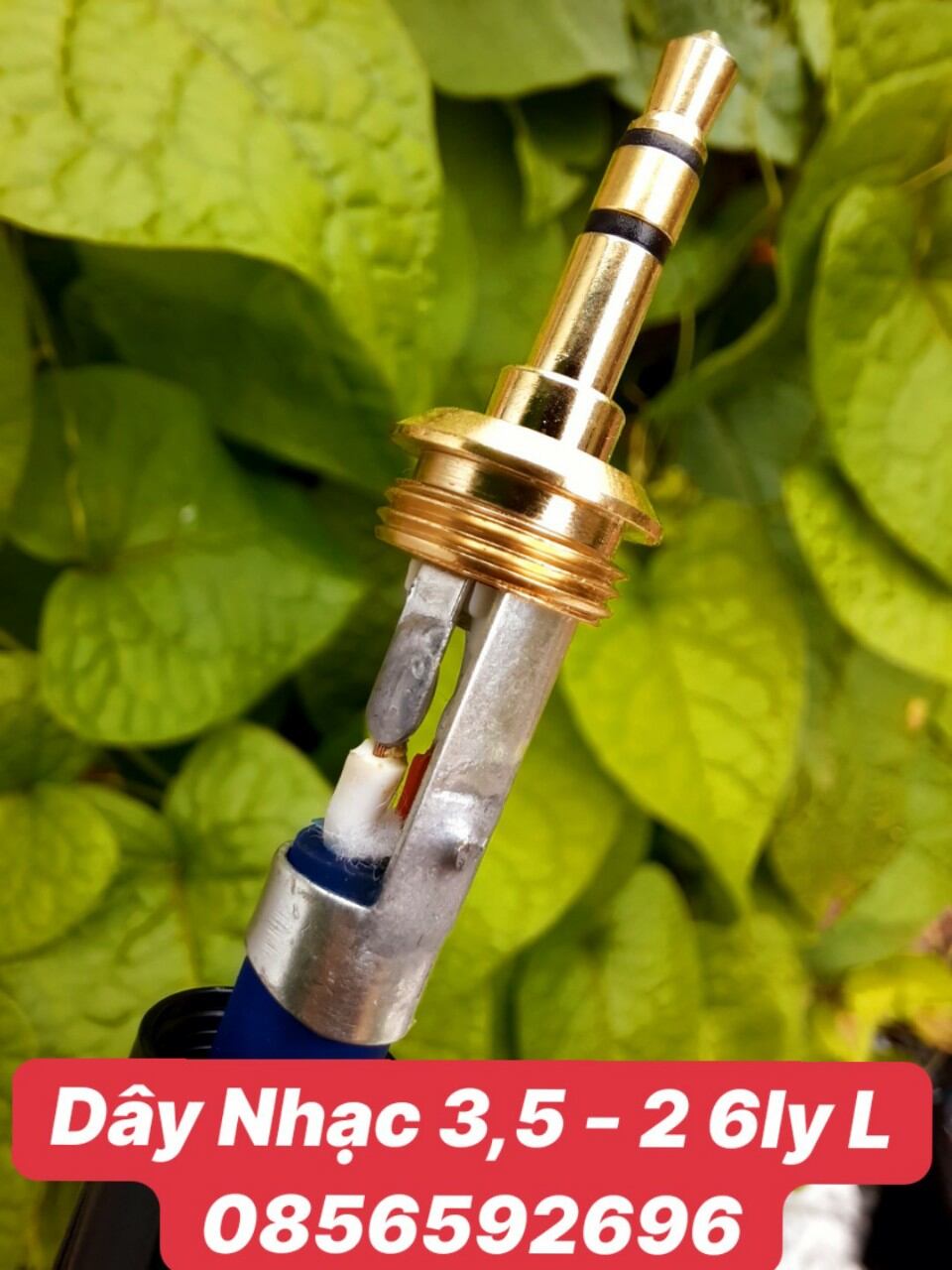Dây tín hiệu jack 3.5mm-2 đầu bông sen av, dài 3m