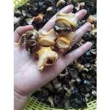 Ruột ốc bưu làm sạch 1kg (giao tphcm)