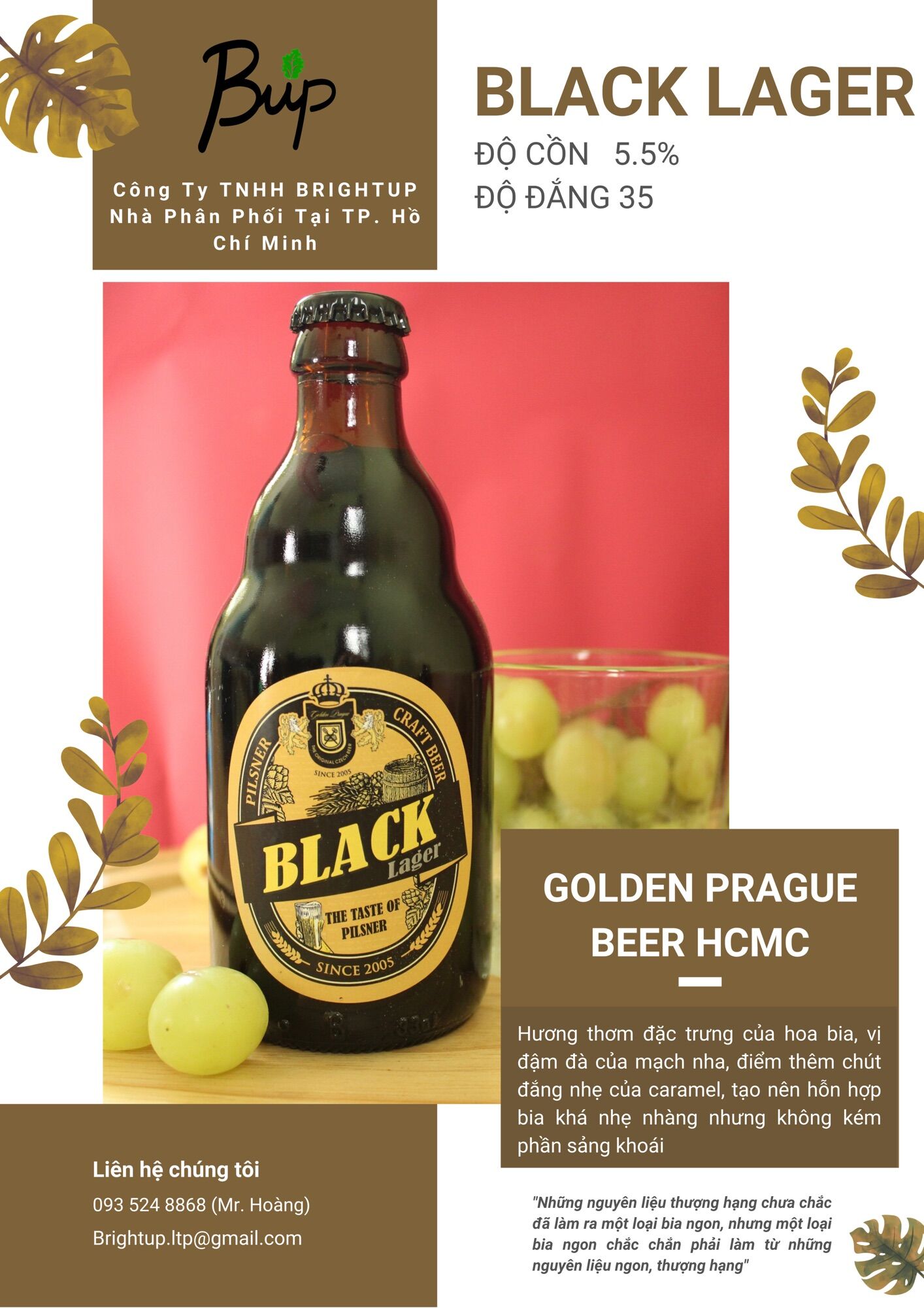 Pack 2 chai Black Lager