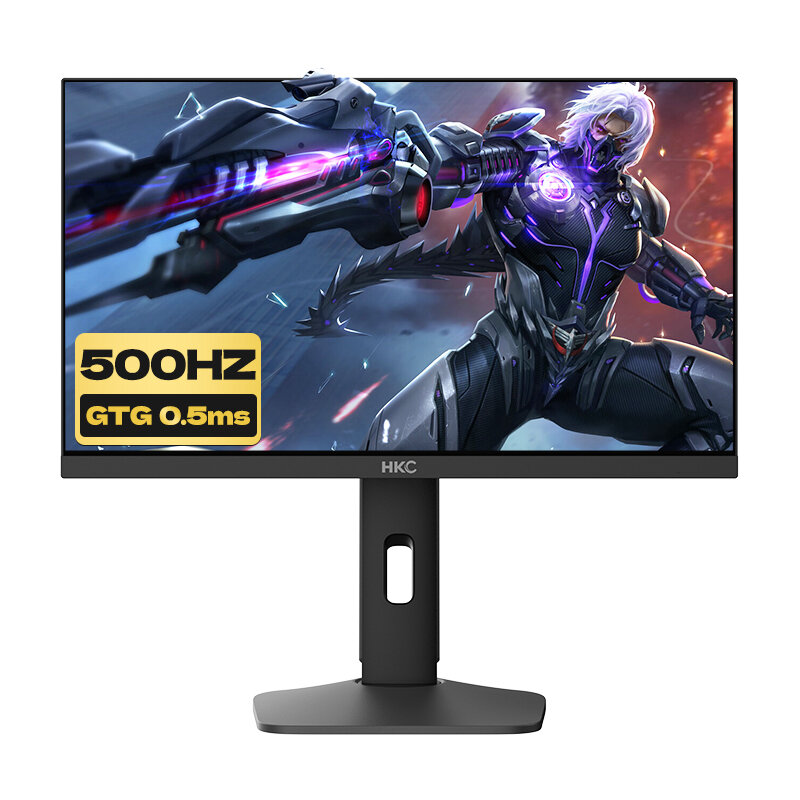 Nvision | VALORANT Gaming Monitor 24.1 inch Giá 23,197,000 Đồng*Miễn phí vận chuyển