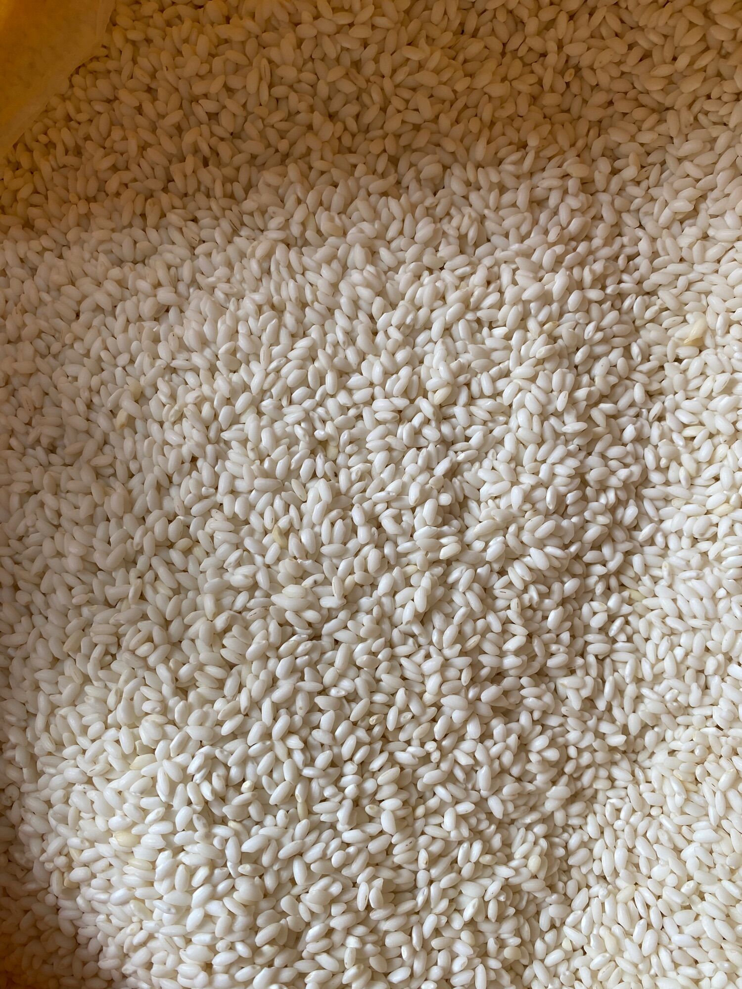 Gạo nếp Bắc , dẻo thơm - 1kg